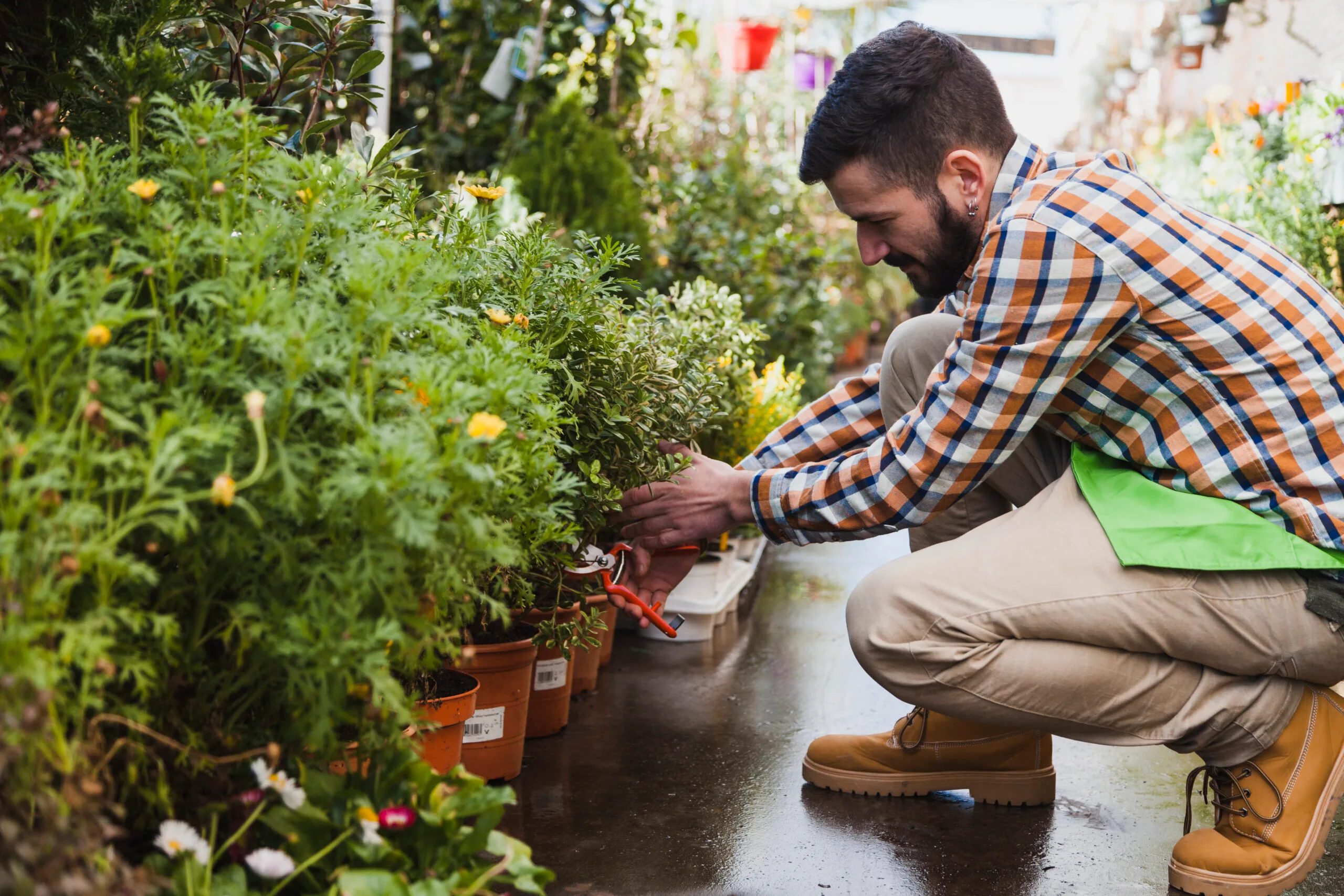 Cleaning & Gardening